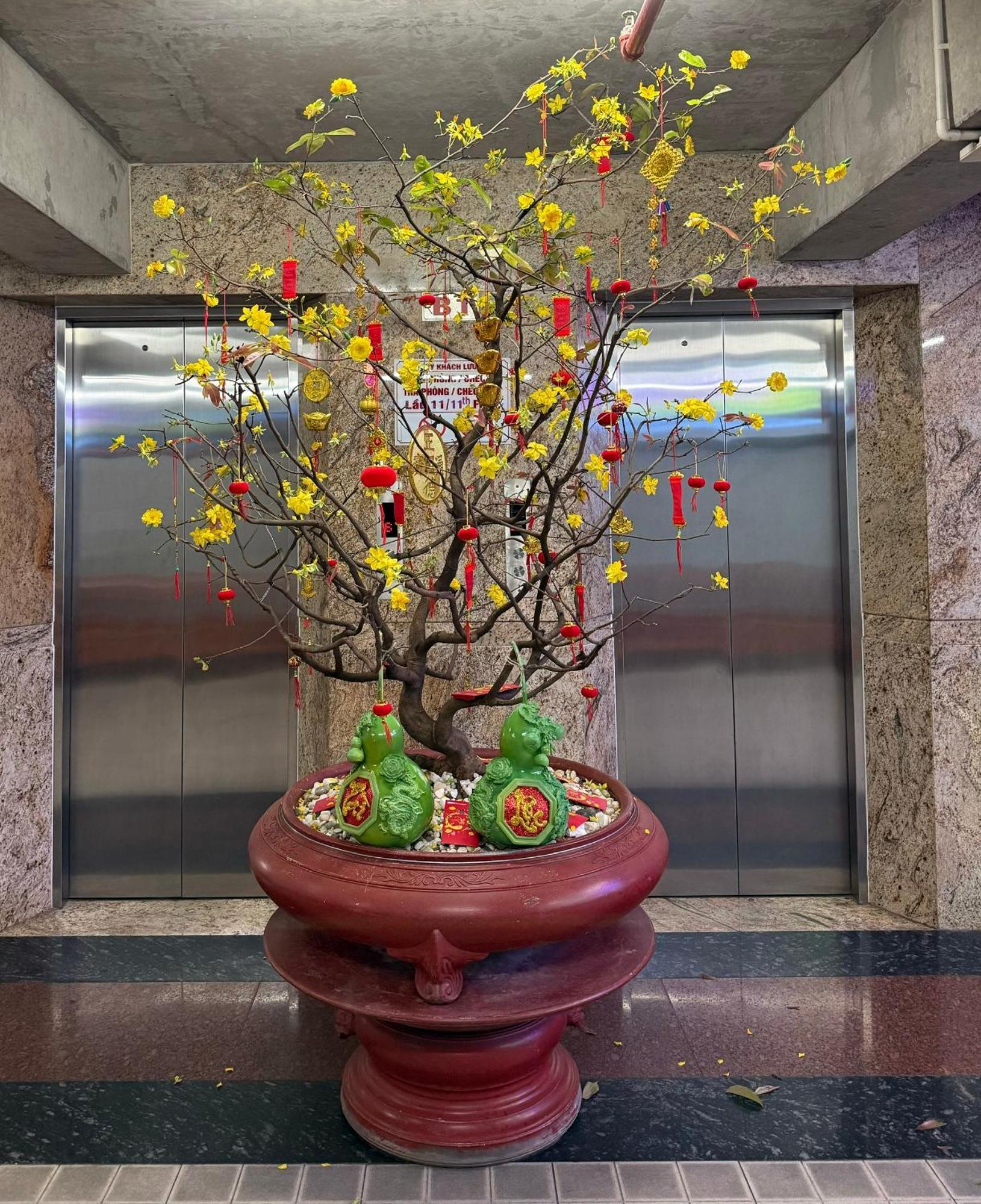 Thien Tai Hotel Ho Şi Min Dış mekan fotoğraf